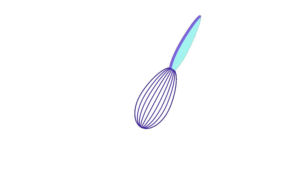 Download Free Animated Whisk Mixer Video | Pixominia